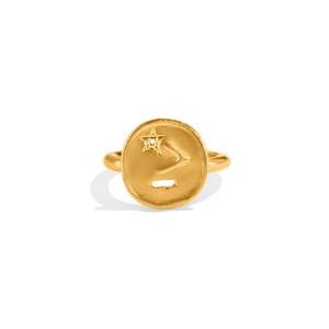 I+V Signature Ring I