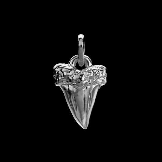 Shark Tooth Pendant image