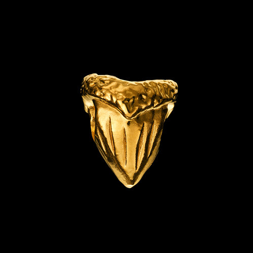 Shark Tooth Charm image